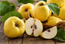 Buah Safarjal, Si Langka yang Menyimpan Segudang Manfaat untuk Kesehatan