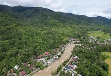 Apel Green Tantang Pemerintah Aceh Ungkap Pembalakan Liar di Beutong Ateuh