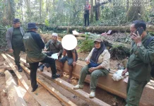 KPH Wilayah IV Aceh Temukan 85 Keping Kayu Olahan Ilegal di Beutong Ateuh