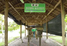 Universitas Teuku Umar Kembangkan Riset Madu dalam Budidaya