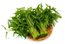 Sederhana tapi Istimewa Kangkung Menyimpan Banyak Manfaat bagi Tubuh