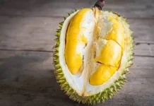 Tak Hanya Lezat Durian juga Punya Manfaat bagi Tumbuh Kembang Anak