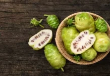 Buah Mengkudu Si Pahit yang Kaya Manfaat untuk Kesehatan Pria dan Wanita