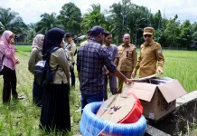 Pemkab Aceh Barat Bantu Mesin Pompa Air pada Sawah Masyarakat