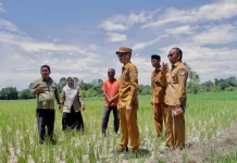 Bupati Aceh Barat Percepat Penanganan Kekeringan, Distribusikan 200 Unit Pompa Ai