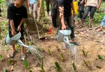 Tim Program Penguatan Kapasitas Organisasi Kemahasiswaan