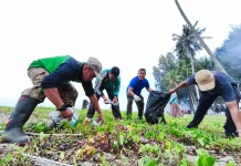 Gotong Royong Rutin, ASN Aceh Barat Bersihkan Pantai Suak Ribee