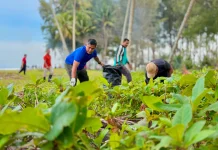 pemkab Aceh Barat Gotong Royong Massal