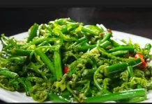 Mengenal Sayur Pakis untuk Kesehatan