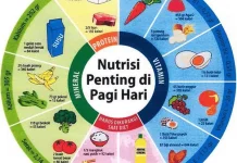 Cara Memilih Makanan Sehat untuk Kebutuhan Harian
