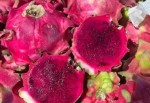 Misteri Keunikan Buah Naga yang Jarang Diketahui