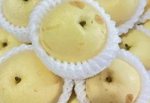 Jangan Kaget Ini Efek Nyata Buah Pir