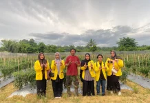 Agriconnect.Click, Startup Mahasiswa UTU Pangkas Rantai Distribusi Pangan