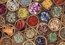 Memilih Obat Herbal, Sesuai Kebutuhan dan Kondisi Tubuh