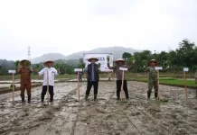 Aceh Selatan Gratiskan Bajak Sawah untuk Ringankan Beban Petani