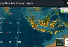 BPBD Aceh Barat Tingkatkan Kesiapsiagaan Hadapi Ancaman Karhutla dan Kekeringan