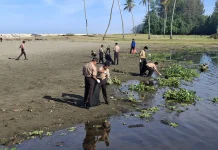 MTsS Harapan Bangsa Ikut Aksi Bersih Cagar Budaya Bersama RRI Meulaboh