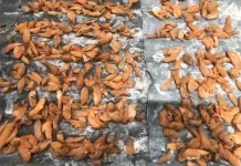 Asam Sunti, Bumbu Dapur Khas Aceh yang Harus Dijemur hingga Kering