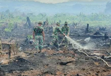 Tim Gabungan Fokus Pendinginan Lahan Gambut di Kabupaten Aceh Selatan