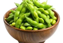 Kacang Edamame Kaya Nutrisi Baik untuk Ibu Hamil dan Menyusui