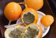 Manfaat Buah Markisa untuk Anak Kaya Vitamin Baik untuk Melengkapi Asupan Gizi