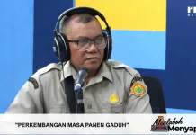Penyuluh Dorong Penguatan Irigasi dan Alsintan untuk Petani Kaway XVI