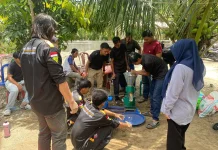 UTU Perkuat Kemandirian Pakan dan Manajemen Risiko Budidaya Lele