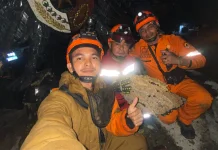 BPBD-DLH Aceh Barat Evakuasi Sarang Tawon di Tugu Santri Pancasila