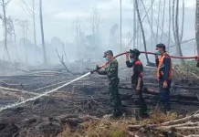 Karhutla Aceh Selatan, 19 Hektare Lahan Terbakar, Api Masih Berkobar di Ujong Mangki