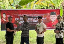 Jamaluddin Idham Salurkan Ribuan Bibit Kopi untuk Petani Abdya