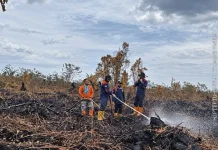 Karhutla Aceh Barat 90 Persen Tertangani, Pemadaman Masih Berlangsung