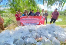 235 Ribu Bibit Nila untuk Warga Nagan Raya