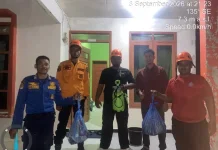 BPBD Aceh Barat Evakuasi Sarang Tawon di Desa Peunaga