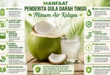 Manfaat Penderita Gula Darah Tinggi Minum Air Kelapa