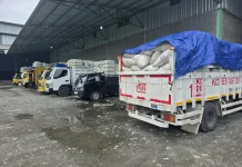 Listrik Kerap Padam, Ratusan Petani Nagan Raya Kecewa, Ketahanan Pangan Tergangu