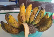 Mengenal Kandungan Gizi Pisang dan Manfaatnya bagi Kesehatan Tubuh
