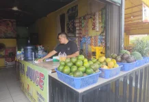 Omzet Melejit lewat Gaya Hidup Sehat