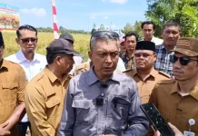 Aceh Pertahankan Surplus Beras meski Produksi Padi Turun 2,7 Persen