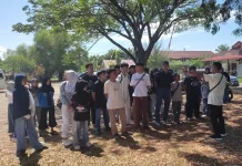 Kontingen Aceh Barat Kirim 60 Atlet Taekwondo pada Piala Bupati Aceh Jaya
