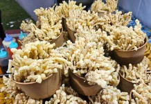 Resep Jamur Enoki Crispy, Cocok untuk Camilan Keluarga