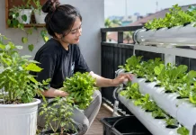 Dari Kebun ke FYP, Anak Muda Mulai Gemar Bertani di Rumah