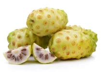 Manfaat Buah Mengkudu untuk Wanita
