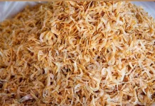 Manfaat Ebi untuk Anak Sumber Protein dan Mineral dalam Menu Harian