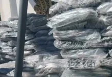 Puskesmas Cot Seumeureung Salurkan 6,5 Ton Ikan Segar ke Masyarakat