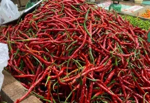 Gagal Panen dan Pasokan Tersendat, Cabai Merah Capai Rp80 Ribu