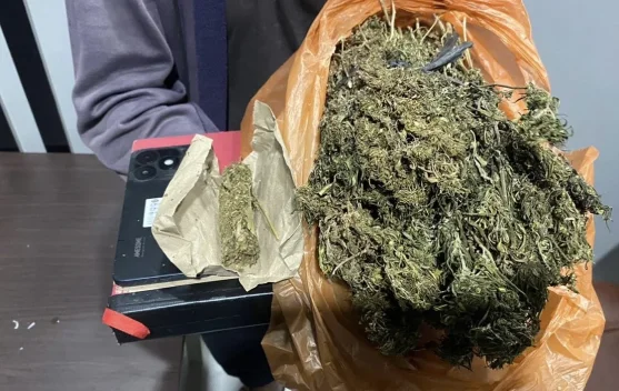 Satresnarkoba Aceh Barat Tangkap Pelaku Penyalahgunaan Ganja di Kampung Darat