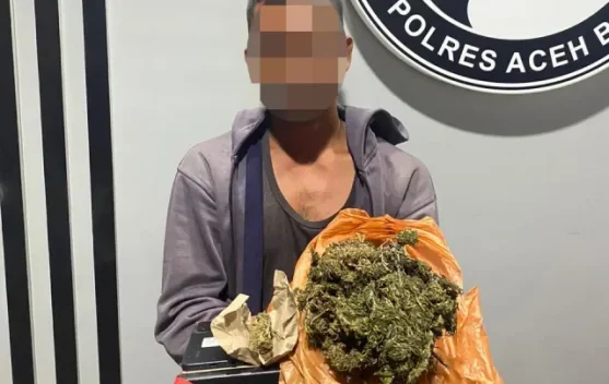 Satresnarkoba Polres Aceh Barat Tangkap Pelaku Penyalahgunaan Ganja
