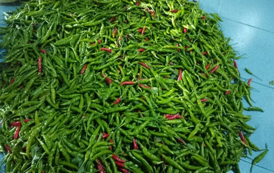 Harga Cabai Rawit di Pasar Meulaboh Tembus Rp50 Ribu per Kilogram