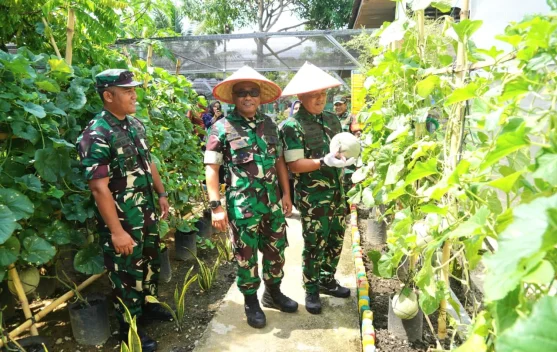 Kasdam IM Apresiasi Dandim Abdya Sulap Pekarangan Jadi Lahan Ketahanan Pangan
