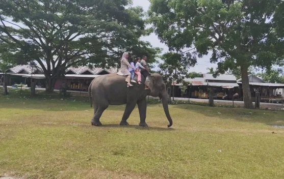 Gajah Saree Jadi Destinasi Favorit Liburan Keluarga Aceh